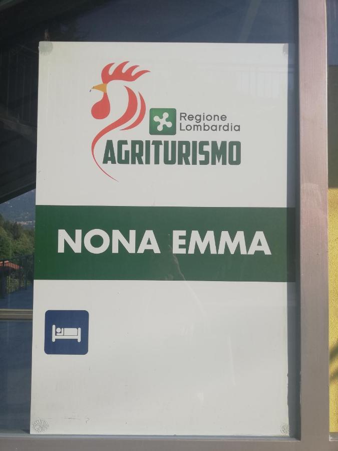 Agriturismo Nona Emma Piano Porlezza エクステリア 写真