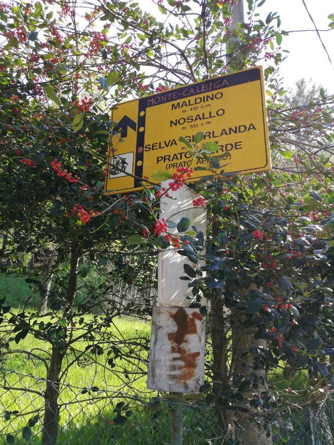 Agriturismo Nona Emma Piano Porlezza エクステリア 写真